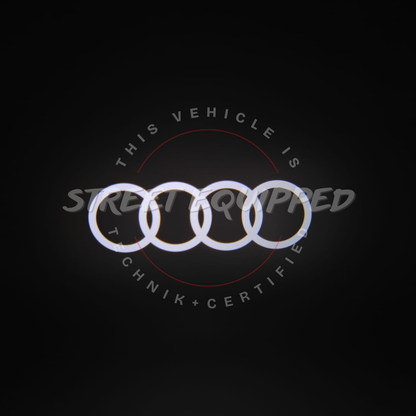 Audi Door Entrance Welcome Light (pair)